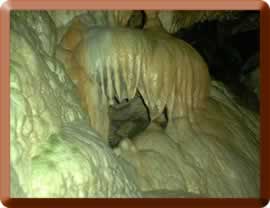 One of the wierd formations in Linville Caverns > 
  
<h2> </h2>
<h3><font color=